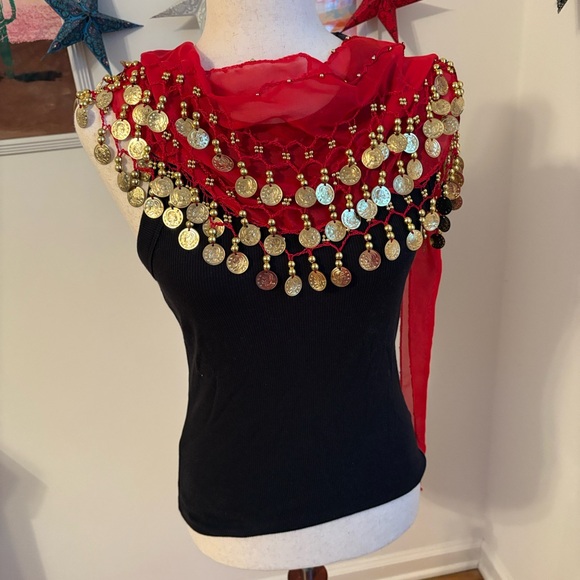 Pair of Belly Dance Skirts  or Scarves - Picture 9 of 9